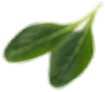 1 img-icon