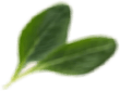 3 img-icon