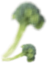 4 img-icon
